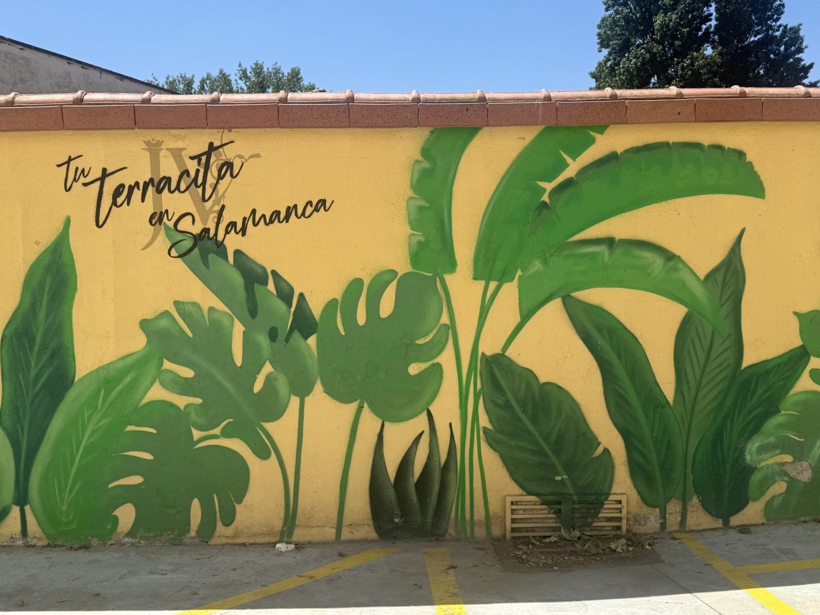 Fondo de nuestra terraza exterior
